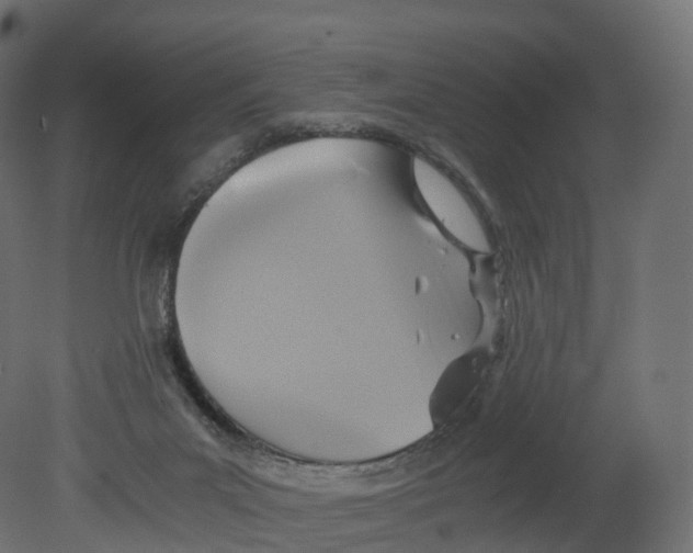 X0000080660023200701121618