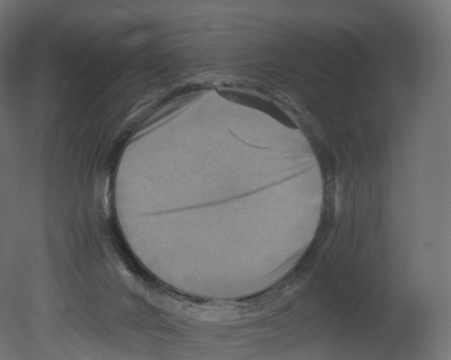 X0000080660024200701121618