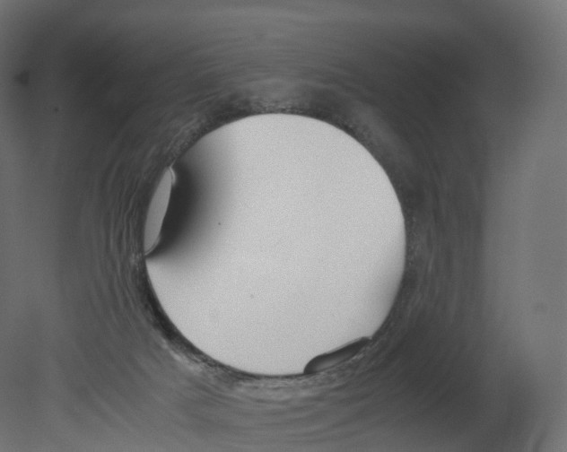 X0000080660025200701121618