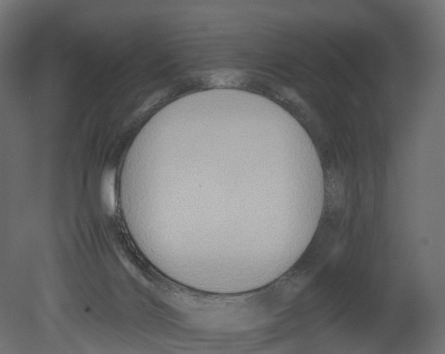 X0000080660028200701121618