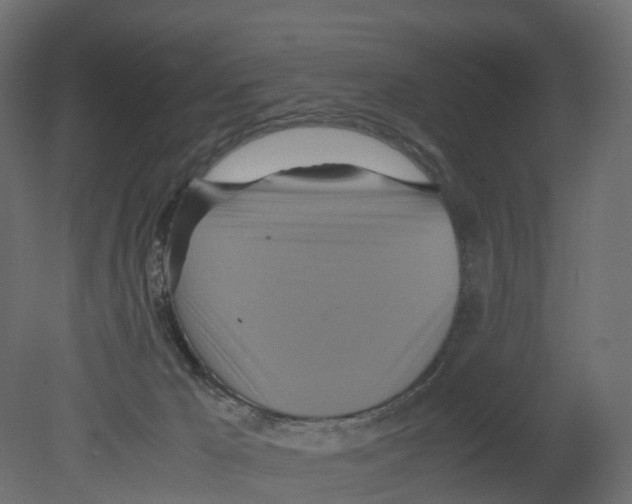 X0000080660029200701121618