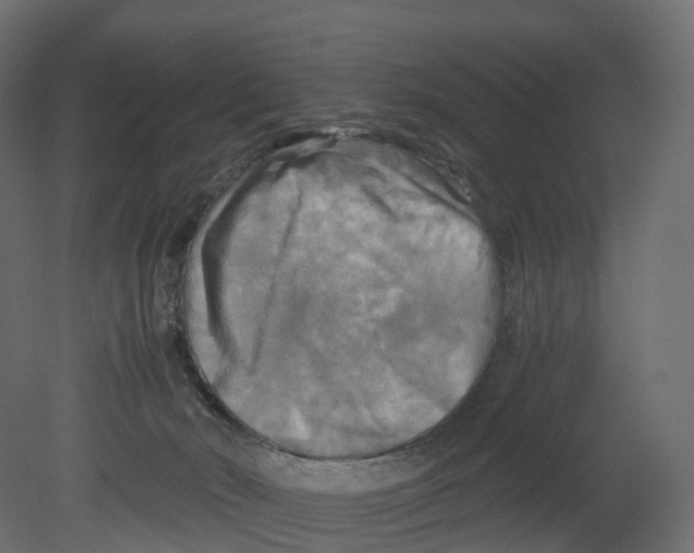 X0000080660030200701121618