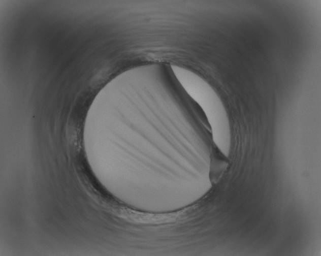 X0000080660031200701121618