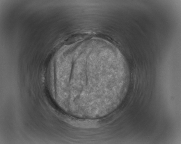 X0000080660032200701121618