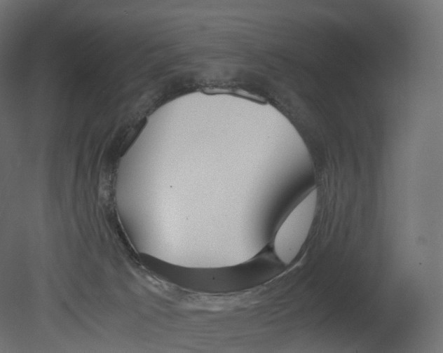 X0000080660033200701121618