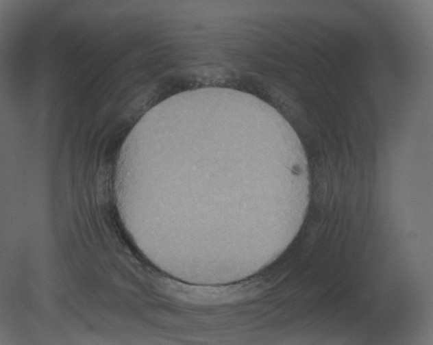 X0000080660034200701121618