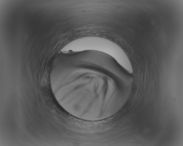 X0000080660035200701121618