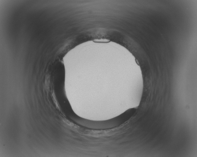 X0000080660037200701121618