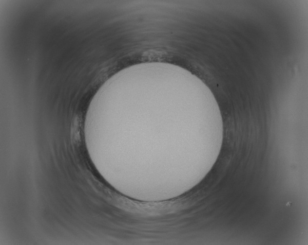 X0000080660038200701121618