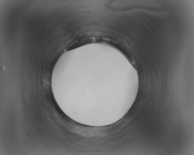 X0000080660040200701121618