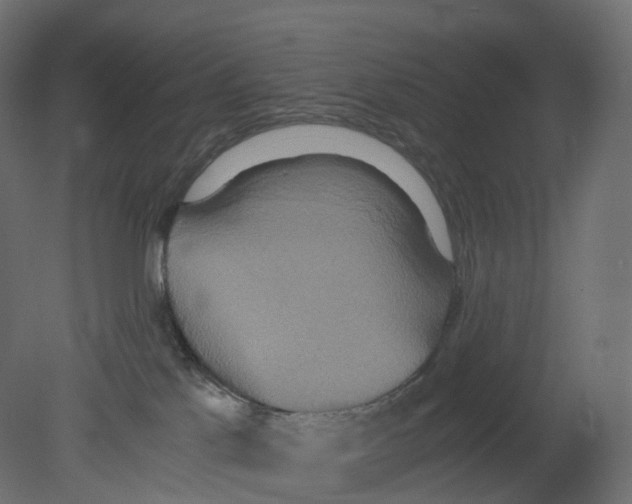 X0000080660041200701121618