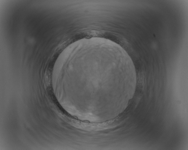 X0000080660043200701121618