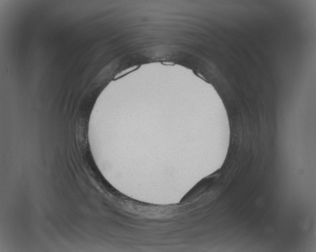 X0000080660044200701121618