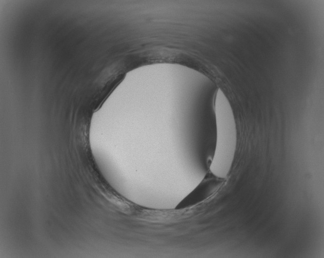 X0000080660045200701121618