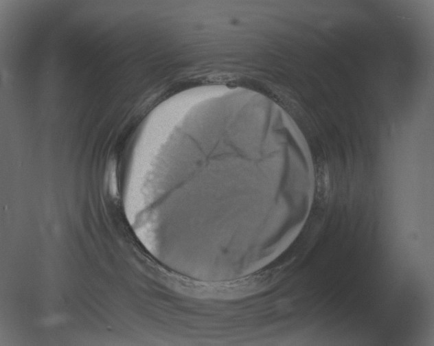 X0000080660046200701121618