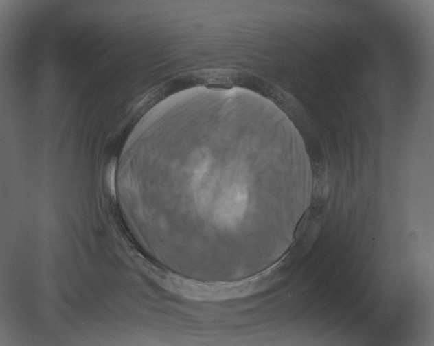 X0000080660047200701121618