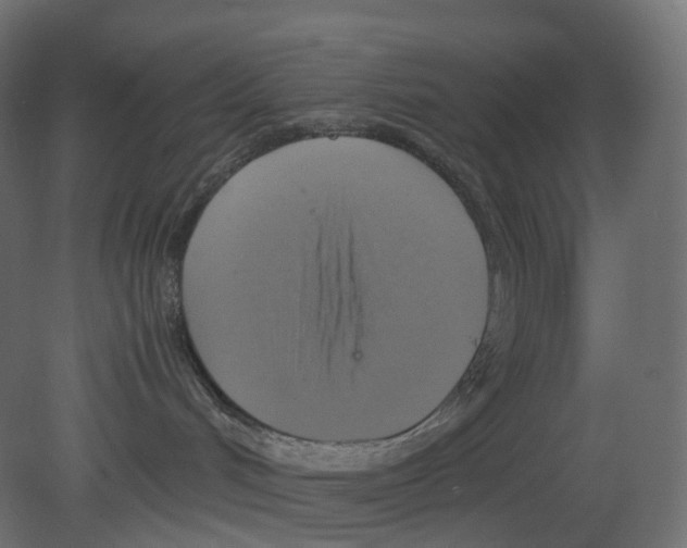 X0000080660048200701121618