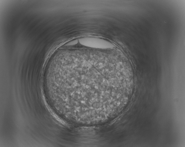 X0000080660049200701121617