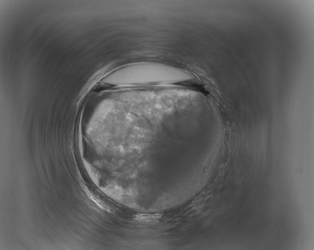 X0000080660051200701121617