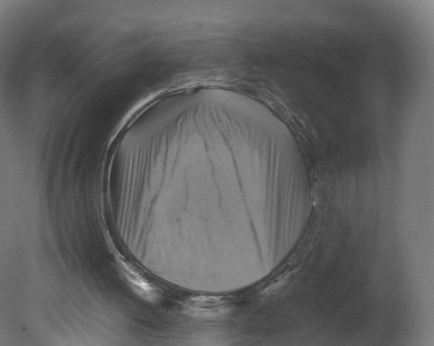 X0000080660052200701121617