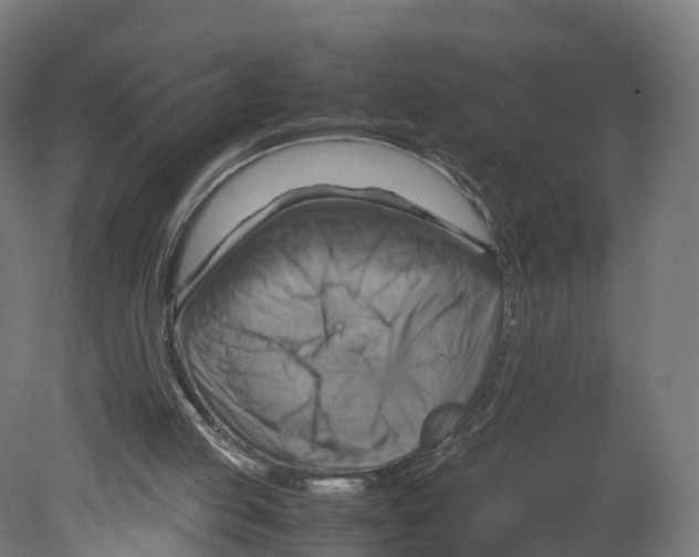 X0000080660053200701121617