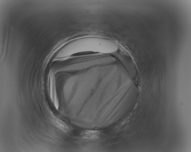 X0000080660055200701121617