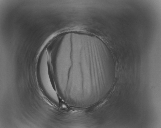 X0000080660056200701121617