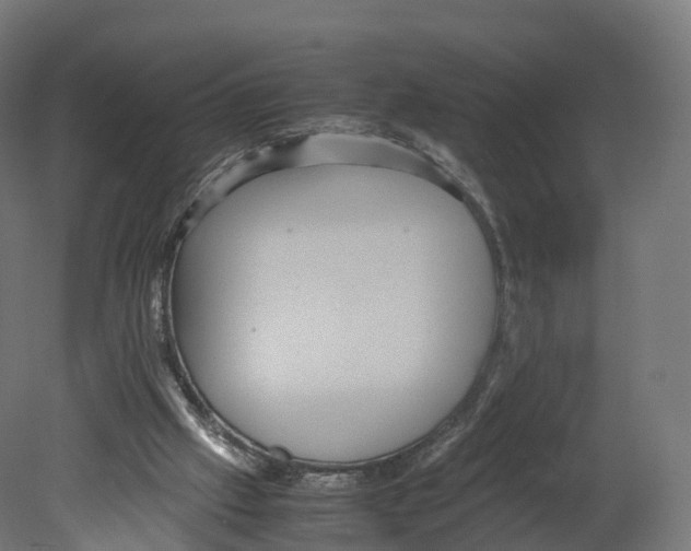 X0000080660057200701121617