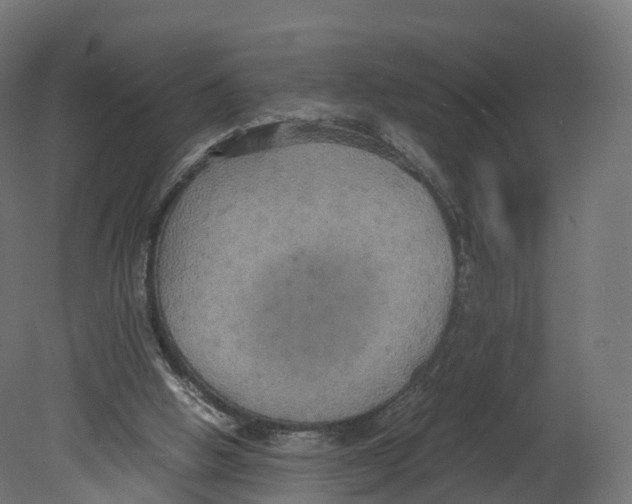 X0000080660058200701121617