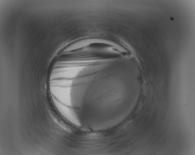 X0000080660059200701121617