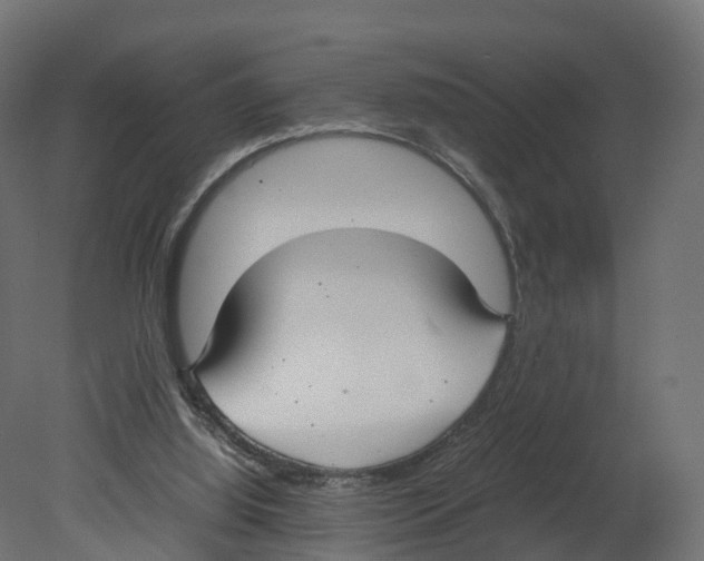 X0000080660060200701121617