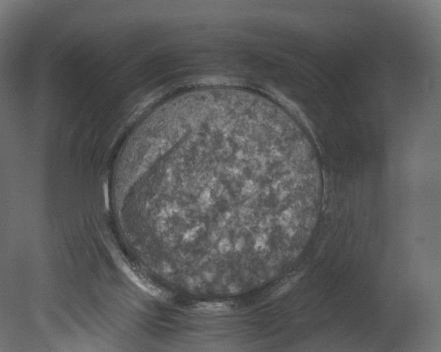 X0000080660061200701121617