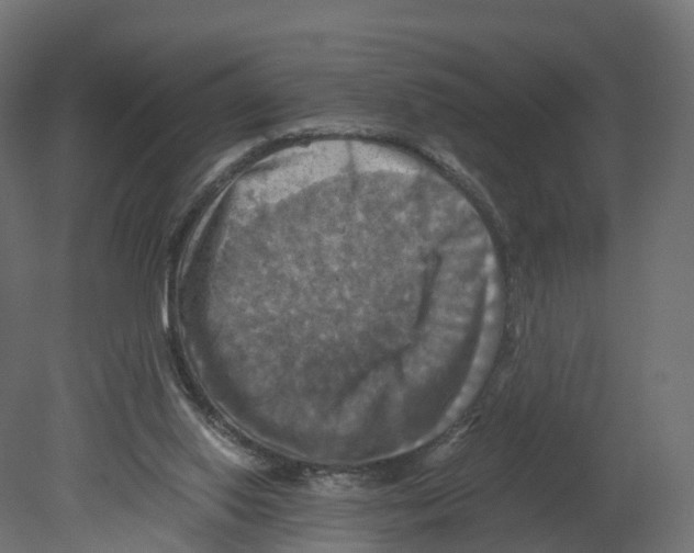 X0000080660062200701121617