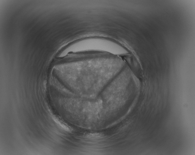 X0000080660063200701121617