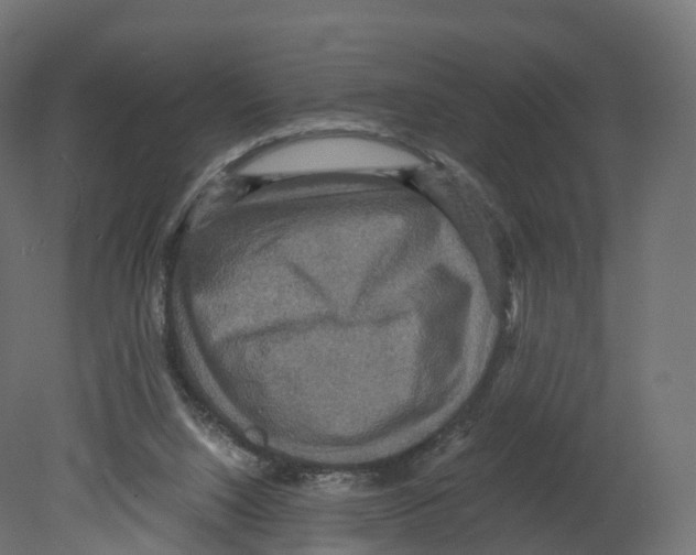 X0000080660064200701121617