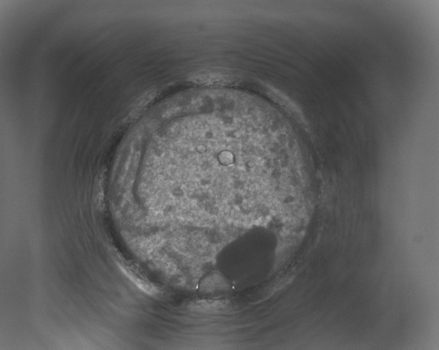 X0000080660065200701121617