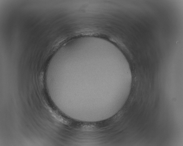 X0000080660066200701121617