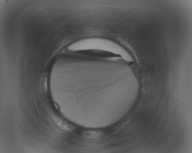 X0000080660067200701121617