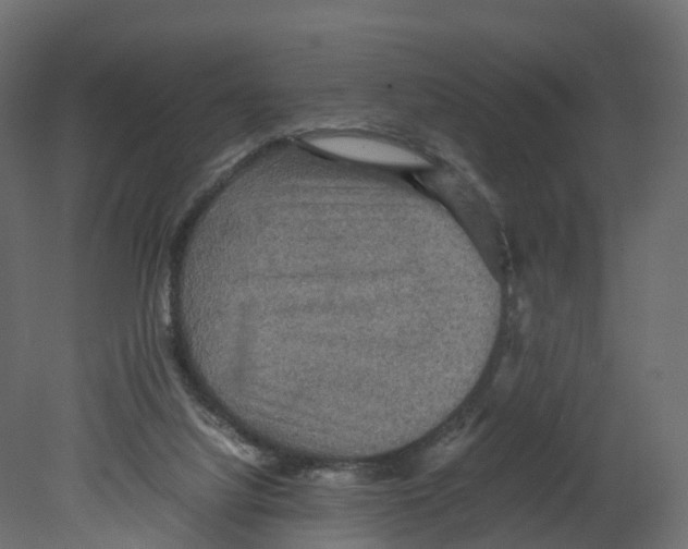 X0000080660068200701121617