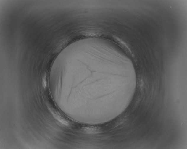 X0000080660069200701121617