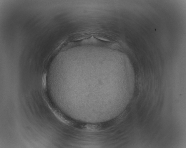 X0000080660070200701121617