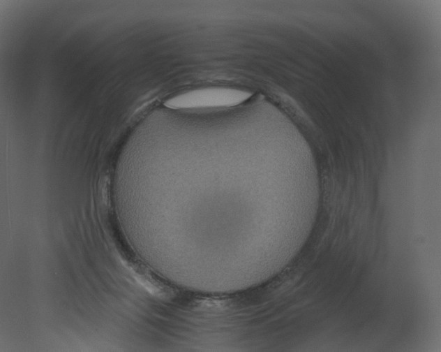 X0000080660071200701121617