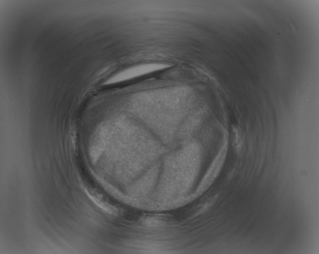 X0000080660072200701121617