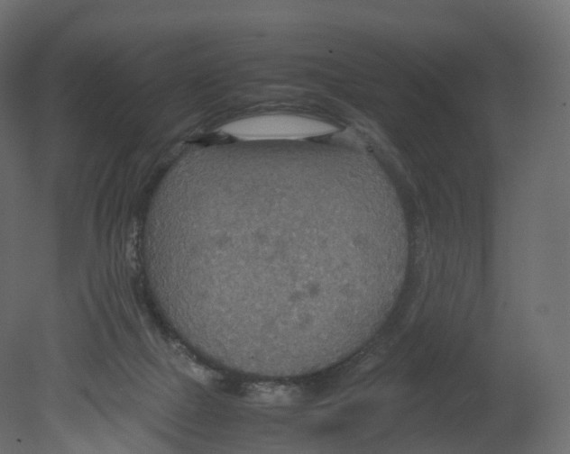 X0000080660073200701121617