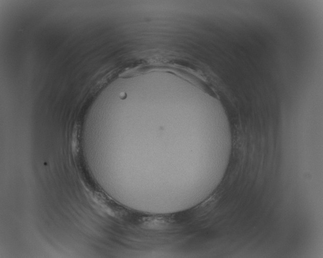 X0000080660074200701121617