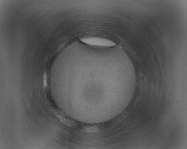 X0000080660075200701121617