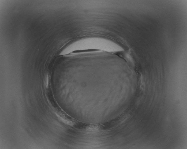 X0000080660076200701121617