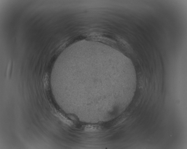 X0000080660077200701121617