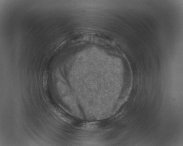 X0000080660078200701121617