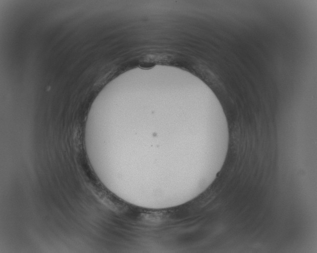 X0000080660079200701121617